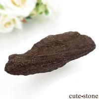 ペトリファイドウッド(珪化木)の意味・鉱物辞典 cute stone ペトリファイドウッド(珪化木)の意味・鉱物辞典 cute stone
