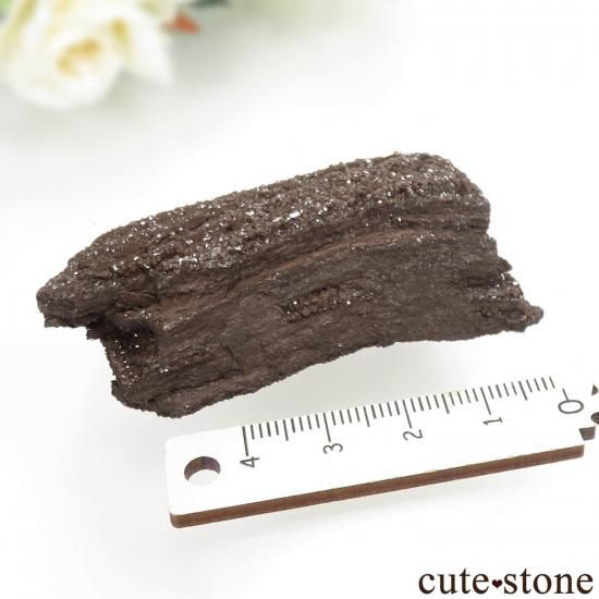 ɥ  Zwenkau ڥȥեɥåɡʷڡˡ No.9μ̿1 cute stone