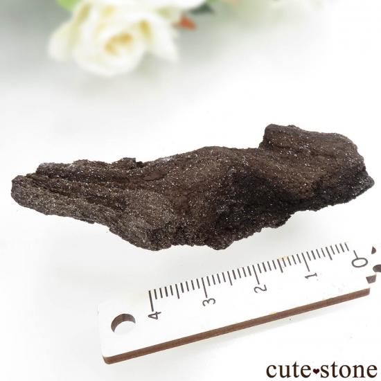 ɥ  Zwenkau ڥȥեɥåɡʷڡˡ No.10μ̿1 cute stone