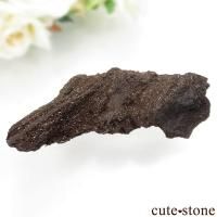 ペトリファイドウッド(珪化木)の意味・鉱物辞典 cute stone ペトリファイドウッド(珪化木)の意味・鉱物辞典 cute stone