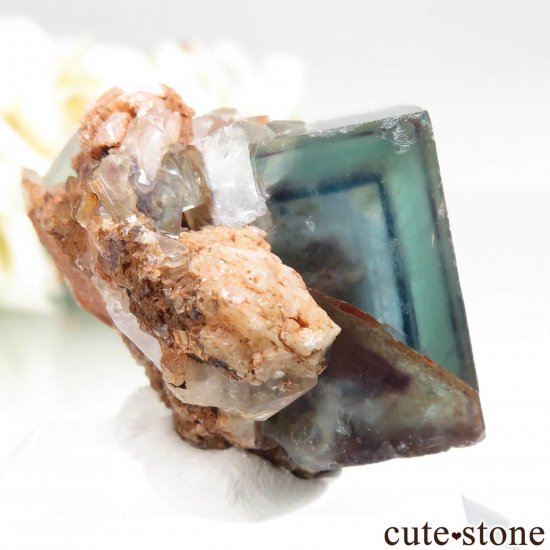 ʥߥӥ Okorusu Mine ե饤ȡĤθ No.42μ̿0 cute stone