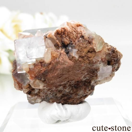 ʥߥӥ Okorusu Mine ե饤ȡĤθ No.42μ̿1 cute stone