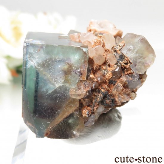 ʥߥӥ Okorusu Mine ե饤ȡĤθ No.42μ̿2 cute stone