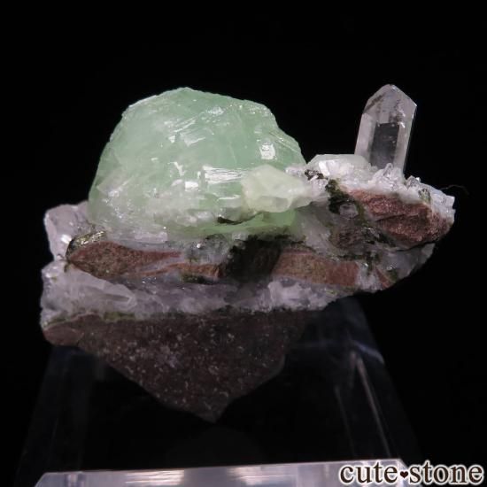 ʥߥӥ Goboboseb ץʥȡĤθ No.1μ̿1 cute stone