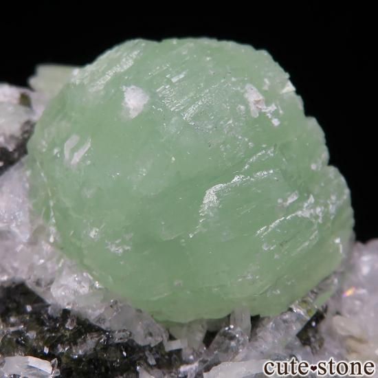 ナミビア Goboboseb産 クォーツ(水晶) 鉱物標本 ナミビア Goboboseb産 プレナイト＆クォーツの原石 No.1 - cute