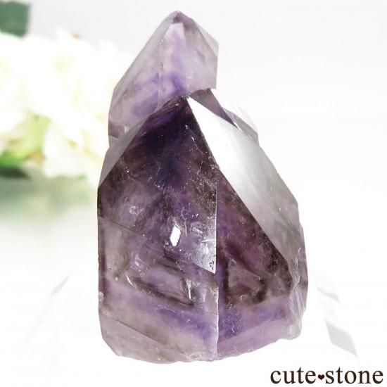 ʥߥӥ ֥ɥС Goboboseb ᥸Ȥθ No.10μ̿0 cute stone