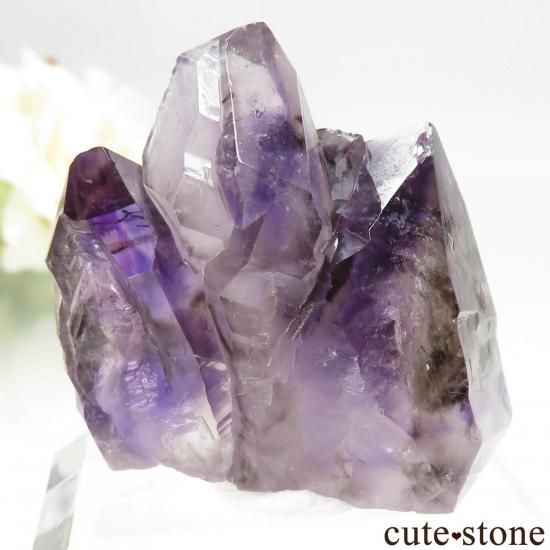 ʥߥӥ ֥ɥС Goboboseb ᥸Ȥθ No.10μ̿1 cute stone