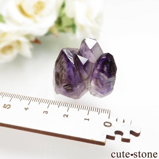 ʥߥӥ ֥ɥС Goboboseb ᥸Ȥθ No.10μ̿5 cute stone