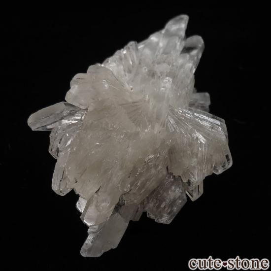 ɥ Lignite mine (Lower Saxony) ץʥʥȡˤθ No.1μ̿0 cute stone