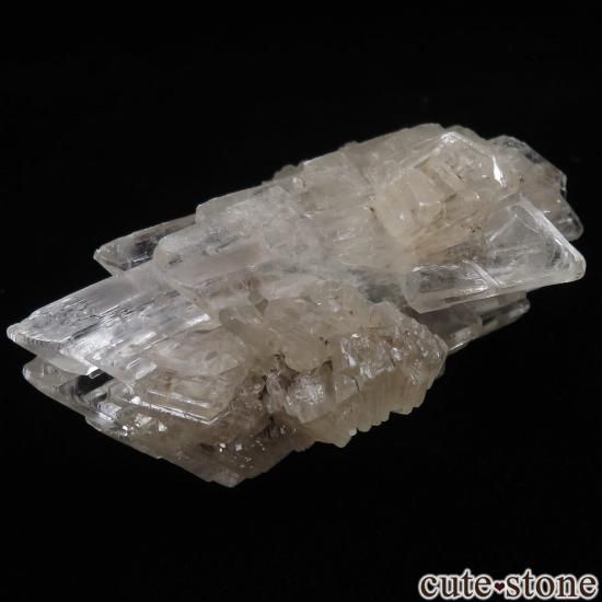 ɥ Lignite mine (Lower Saxony) ץʥʥȡˤθ No.1μ̿1 cute stone