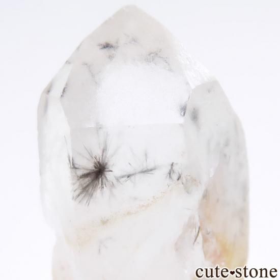 ޥ뻺 ۥȥ󥯥ġ徽ˤθ No.7μ̿1 cute stone