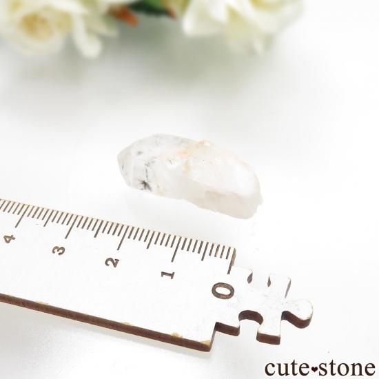 ޥ뻺 ۥȥ󥯥ġ徽ˤθ No.7μ̿2 cute stone