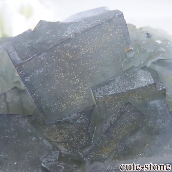 å El Hammam Mine ե饤Ȥθ No.13μ̿0 cute stone