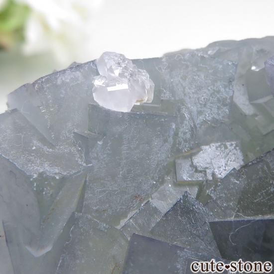 å El Hammam Mine ե饤Ȥθ No.13μ̿1 cute stone