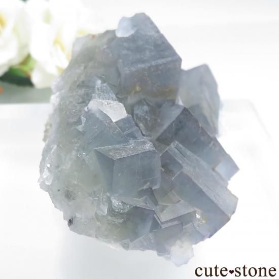 å El Hammam Mine ե饤Ȥθ No.13μ̿2 cute stone