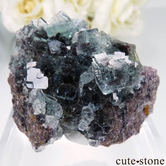 激安通販の ナミビア Okorusu Mine｜Blue Diamond Pocket産 フローライトの コレクション