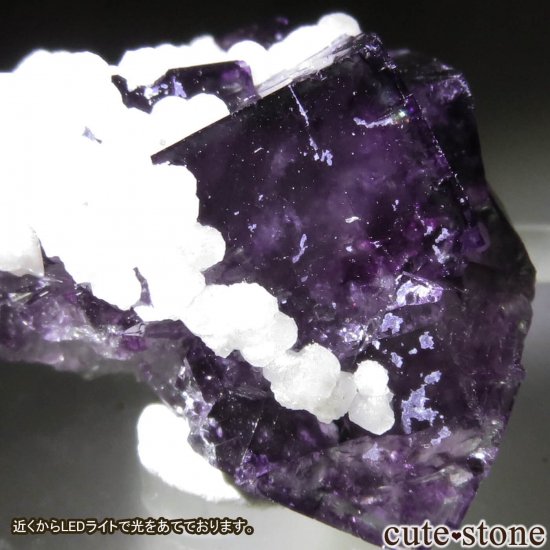 ʥߥӥ Okorusu MineD-Pit ե饤ȡ륵ȡ쥹Ȥθ No.48μ̿3 cute stone