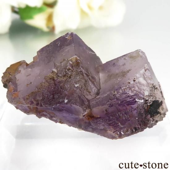ڥ Berbes ѡץե饤Ȥθ No.28μ̿1 cute stone
