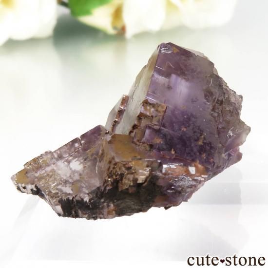 ڥ Berbes ѡץե饤Ȥθ No.28μ̿2 cute stone