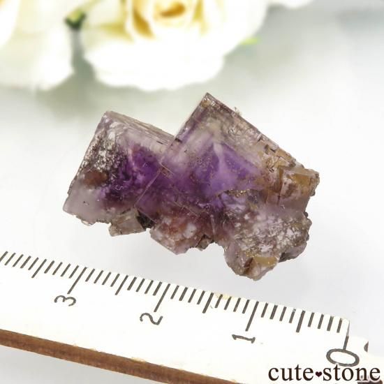 ڥ Berbes ѡץե饤Ȥθ No.28μ̿3 cute stone