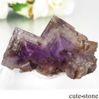cute stone |アイテムの検索(7,001円~10,000円) cute stone |アイテムの検索(7,001円~10,000円)