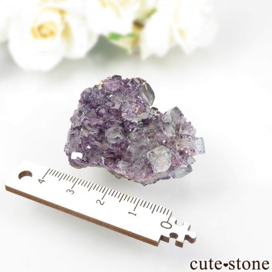 ʥߥӥ Okorusu MineD-Pit ե饤Ȥθ No.51μ̿4 cute stone