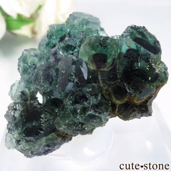 【鉱物標本】オコルスD-pit セット フローライト 鉱物標本】オコルスD-pit セット フローライト