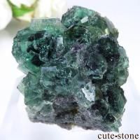 cute stone |アイテムの検索(20,001円~30,000円) cute stone |アイテムの検索(20,001円~30,000円)