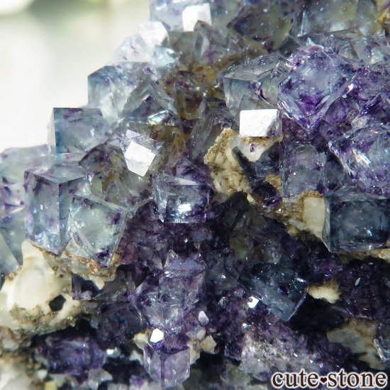 ʥߥӥ Okorusu MineD-Pit ե饤Ȥθ No.53μ̿4 cute stone