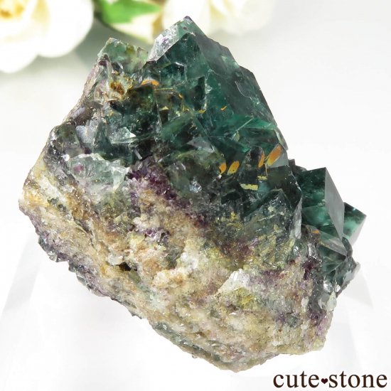 ʥߥӥ Okorusu MineD-Pit ե饤Ȥθ No.54μ̿0 cute stone