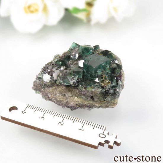 ʥߥӥ Okorusu MineD-Pit ե饤Ȥθ No.54μ̿3 cute stone