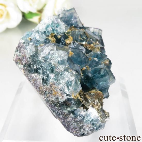 ʥߥӥ Okorusu MineD-Pit ե饤Ȥθ No.55μ̿0 cute stone