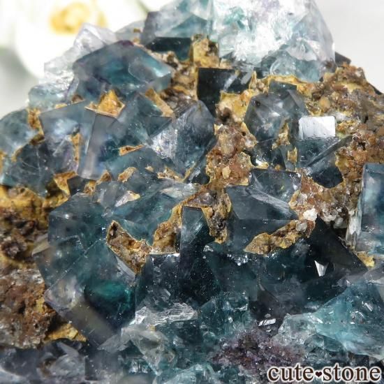 ʥߥӥ Okorusu MineD-Pit ե饤Ȥθ No.55μ̿3 cute stone