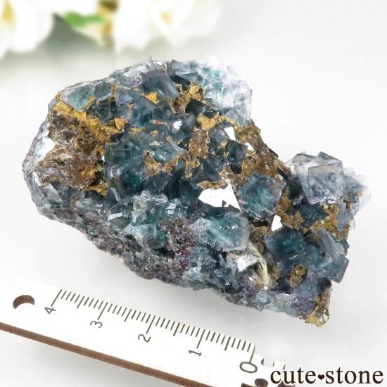 ʥߥӥ Okorusu MineD-Pit ե饤Ȥθ No.55μ̿4 cute stone