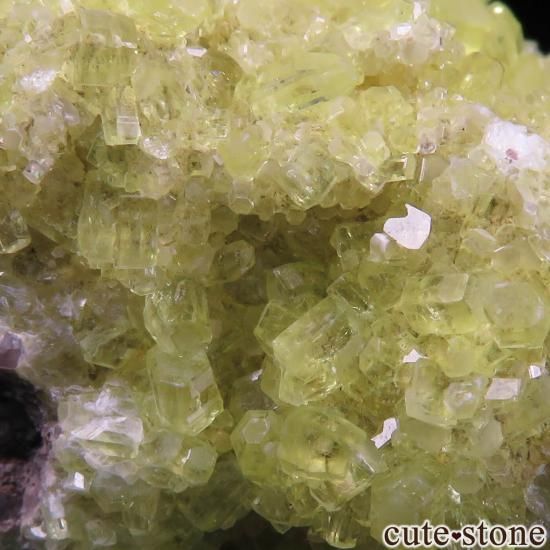 南アフリカ産 エトリンガイト 鉱物標本 原石 南アフリカ産 エトリンガイト 鉱物標本 原石
