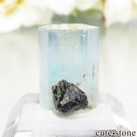 cute stone |アイテムの検索(7,001円~10,000円) cute stone |アイテムの検索(7,001円~10,000円)