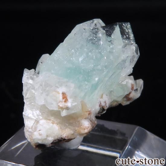  ץ͡ ꡼󥢥ݥե饤ȡƥХȤθ No.42μ̿1 cute stone