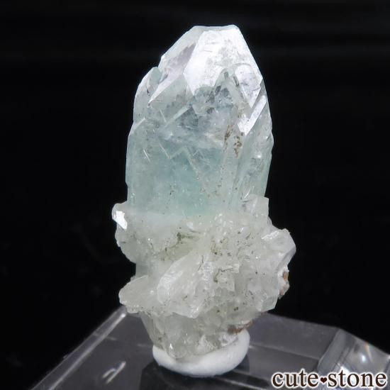  ץ͡ ꡼󥢥ݥե饤ȡƥХȤθ No.43μ̿1 cute stone