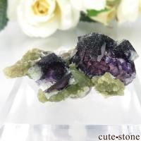cute stone |アイテムの検索(20,001円~30,000円) cute stone |アイテムの検索(20,001円~30,000円)