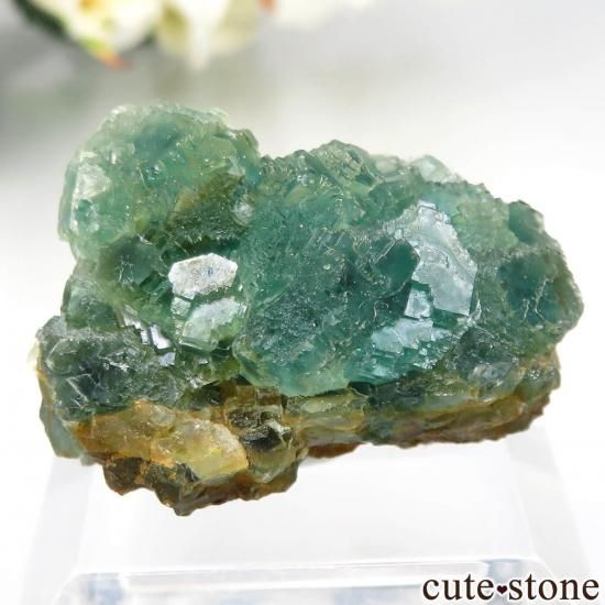 ナミビア Okorusu Mine|African Emerald Pocket産 フローライトの原石 No.56の写真1 cute stone
