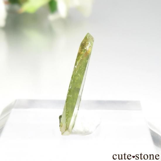 ֥饸 Capelinha եʥʥȡˤθ No.5μ̿2 cute stone