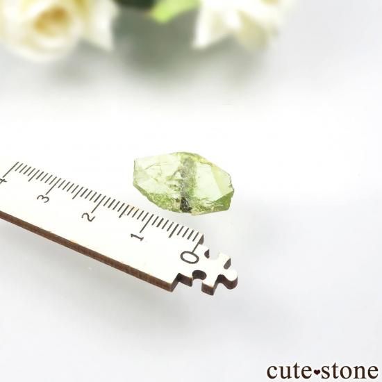 ֥饸 Capelinha եʥʥȡˤθ No.5μ̿3 cute stone