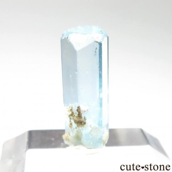 ꥫ ۽ Sawtootḫ 1950ǯȯ줿ޥ No.1μ̿1 cute stone