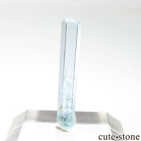 ꥫ ۽ Sawtootḫ 1950ǯȯ줿ޥ No.3μ̿1 cute stone