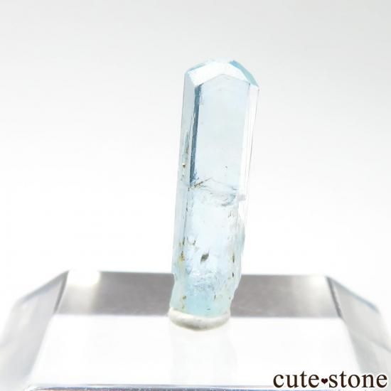 ꥫ ۽ Sawtootḫ 1950ǯȯ줿ޥ No.4μ̿1 cute stone