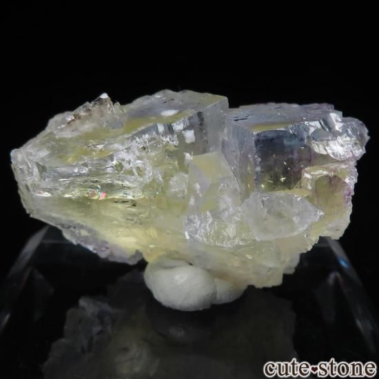 ꥫ Υ Victory Mine ߥ֥롼ե饤Ȥθ No.1μ̿1 cute stone