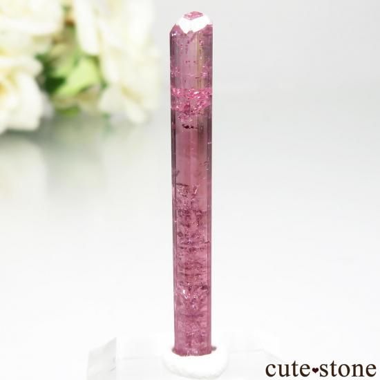 ֥饸 Barra do Salinas ԥ󥯥ȥޥθ No.1μ̿1 cute stone