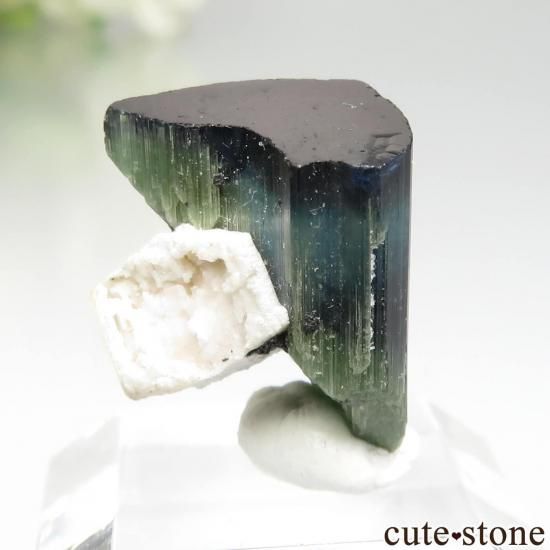 ֥饸 Barra do Salinas ꡼ߥ֥롼ȥޥθ No.2μ̿2 cute stone