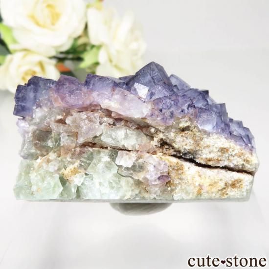 를 Laguna Brava ѡץ֥롼ե饤Ȥθ No.1μ̿1 cute stone