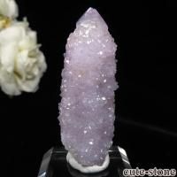 cute stone |アイテムの検索(3,001~5,000円) cute stone |アイテムの検索(3,001~5,000円)